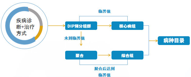 本地化病种目录形成流程