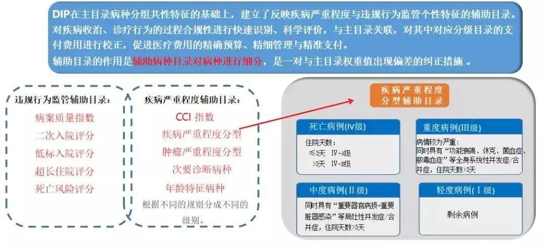 DIP辅助目录
