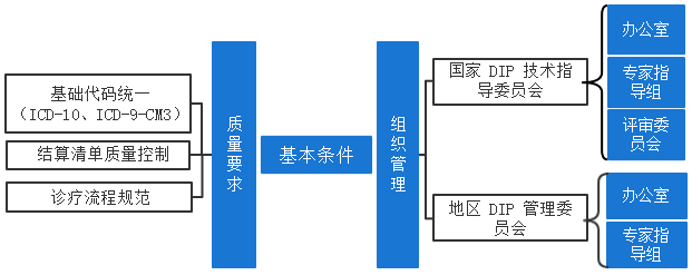 DIP实施基本条件