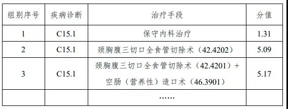金豆公司之分类与编码示例1