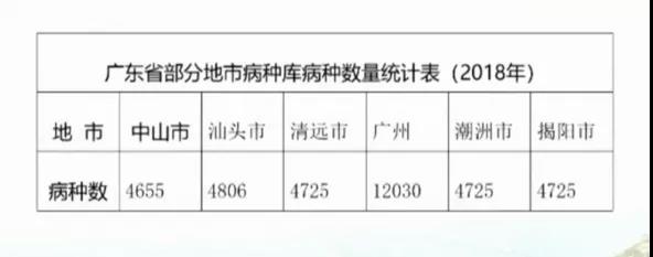 金豆公司之广东省部分地市病种库病种数量统计表