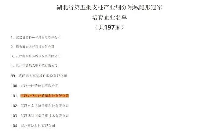 获得湖北省政府对金豆公司在医保科技领域发展的认可
