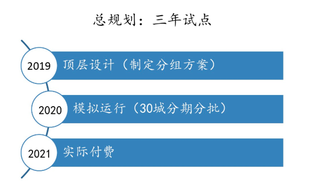 金豆公司之总规划三年试点