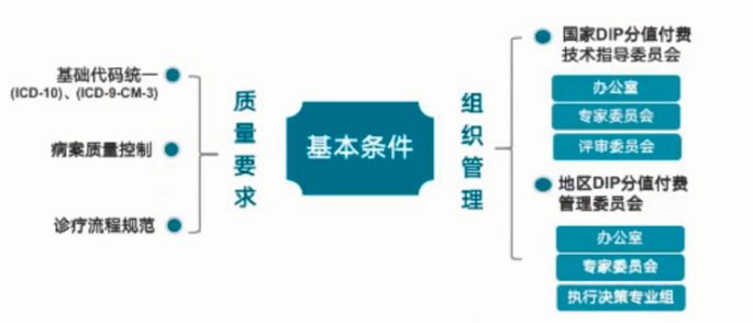 金豆公司之实施条件和数据准备