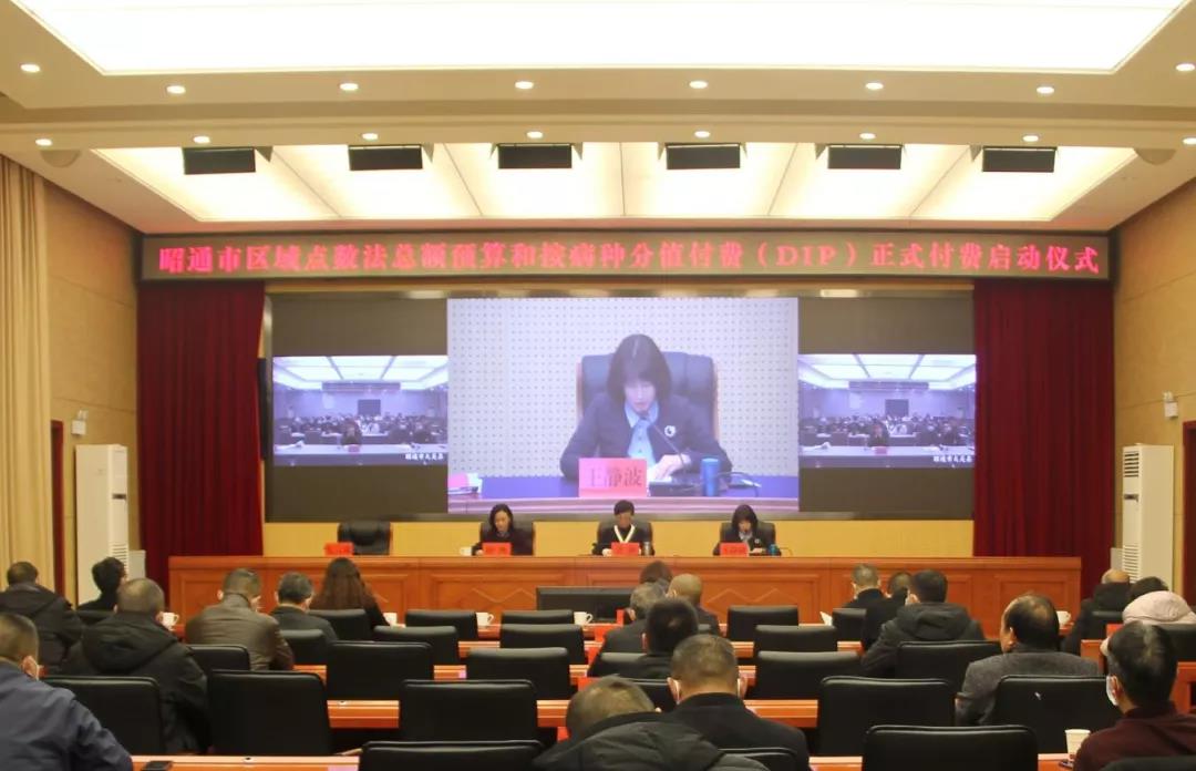 金豆公司之昭通DIP启动会现场